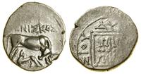 drachma (ok. 80/70–60/55 pne), Aw: Krowa stojąca