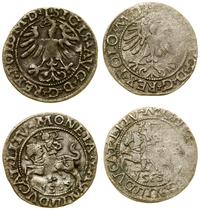 Polska, zestaw 2 x półgrosz, 1565