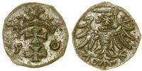 denar 1550, Gdańsk, patyna, Białk.-Szw. 405 (R3)