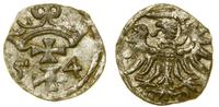 denar 1554, Gdańsk, patyna, Białk.-Szw. 408 (R2)