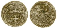 denar 1555, Elbląg, patyna, Białk.-Szw. 447 (R3)