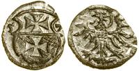 denar 1557, Elbląg, bardzo ładny, Białk.-Szw. 44