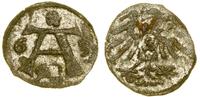 denar 1563, Królewiec, patyna, Kop. 3756 (R4), S