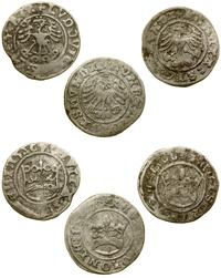 zestaw 3 monet, półgrosz 1507, 1508 (Kraków) ora