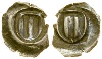 fenig brakteatowy (XV w.), Tarcza herbowa, na st