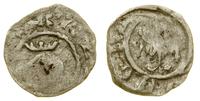 Polska, denar, (lata 30-40. XIV w.)