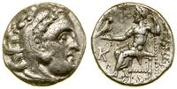 drachma 310–301 pne, Colophon, Aw: Głowa Herakle