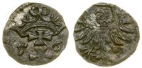 denar 1556, Gdańsk, patyna, Białk.-Szw. 410 (R2)