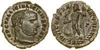 follis (313), Heraclea, Aw: Głowa cesarza w praw