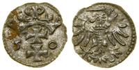 denar 1550, Gdańsk, miejscowy, rdzawy nalot, Bia
