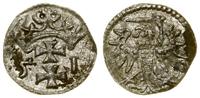 denar 1551, Gdańsk, miejscowy, ciemny nalot, rza