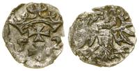 denar 1552, Gdańsk, niewielkie wyszczerbienie kr