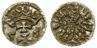 denar 1556, Gdańsk, Białk.-Szw. 410 (R2), CNG 81
