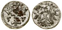 denar 1557, Gdańsk, odmiana z prostą koroną, usz