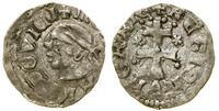 denar (ok. 1358–1365), Aw: Głowa Saracena w lewo