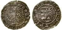 denar (ok. 1443–1444), Aw: Orzeł, MONETA WLADISL
