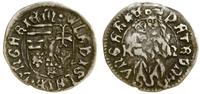 Węgry, denar, (ok. 1500–1502)