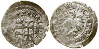 denar (ok. 1444–1445), Buda, Aw: Tarcza herbowa,