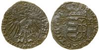 denar (ok. 1443–1444), Buda, Aw: Orzeł, MONETA W