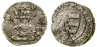 denar (ok. 1333–1338), Aw: Ukoronowane popiersie