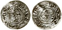 Czechy, denar, przed 1050