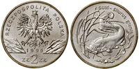 2 złote 1995, Warszawa, Sum – Silurus glanis, mi