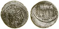 denar 55 pne, Rzym, Aw: Głowa Concordii w chuści