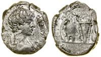 denar (197–198), Rzym, Aw: Popiersie cezara w pr