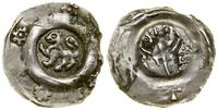 fenig (1245–1250), Aw: Lew kroczący w lewo, wokó