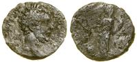 denar (193–211), Rzym, Aw: Głowa cesarza w wieńc