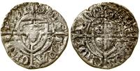 szeląg (1422–1425), Toruń, Aw: Tarcza Wielkiego 