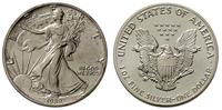 1 dolar  1989, Filadelfia, patyna, srebro '999' 