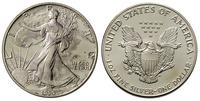 1 dolar  1990, Filadelfia, patyna, srebro '999' 