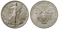 1 dolar  1991, Filadelfia, patyna, srebro '999' 