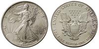 1 dolar  1993, Filadelfia, patyna, srebro '999' 