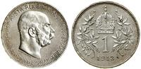 1 korona 1913, Wiedeń, mikroryski, ale pięknie z