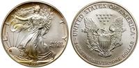 Stany Zjednoczone Ameryki (USA), dolar, 1995