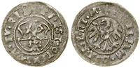 szeląg 1544, Ryga, srebro, 0.94 g, Haljak 836–83
