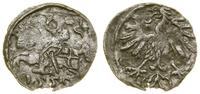 denar 1559, Wilno, patyna, Ivanauskas 2SA19-8,  