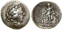 tetradrachma (148–90 pne), Aw: Głowa Dionizosa p