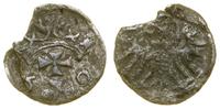 denar 1550, Gdańsk, wyszczerbienie krążka, CNG 8
