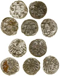 Prusy Książęce (1525–1657), lot 5 x denar, bez daty