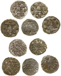 Prusy Książęce (1525–1657), lot 5 x denar