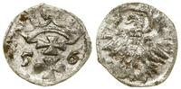 denar 1556, Gdańsk, Białk.-Szw. 410 (R2), CNG 81