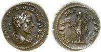 denar (219–220), Rzym, Aw: Popiersie cesarza w p