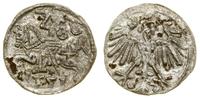 denar 1551, Wilno, rzadki rocznik w ładnym stani