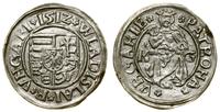 denar 1512 KG, Kremnica, srebro, 15.7 mm, 0.54 g