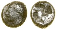 trihemiobol (?) (ok. 521–478 pne), Aw: Głowa kob
