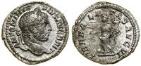 denar (210–213), Rzym, Aw: Głowa cesarza w prawo