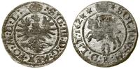 Polska, szeląg, 1623
